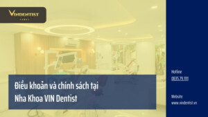 Điều khoản tại Nha Khoa VIN Dentist Đà Nẵng