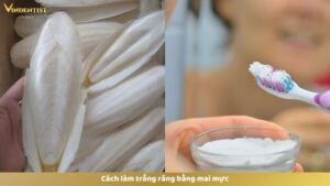 Cách làm trắng răng bằng mai mực