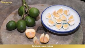 Sử dụng cau cả miếng